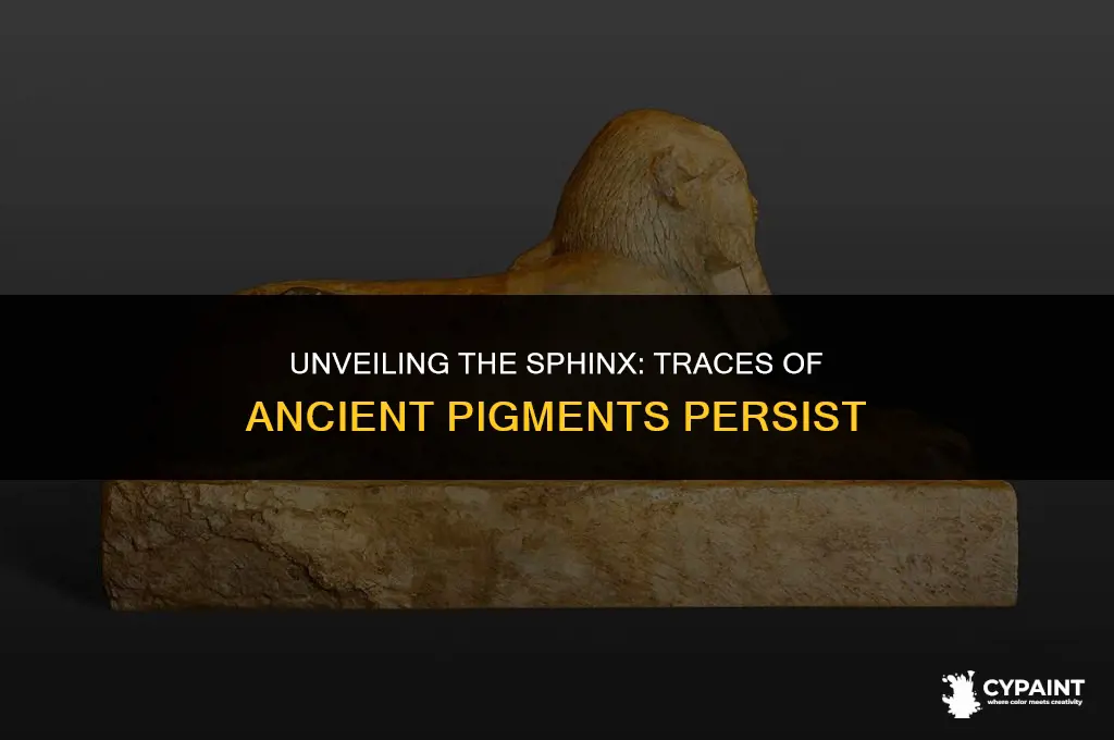 can you still see paint on the sphinx