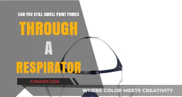 How Effective Are Respirators Against Paint Fumes?