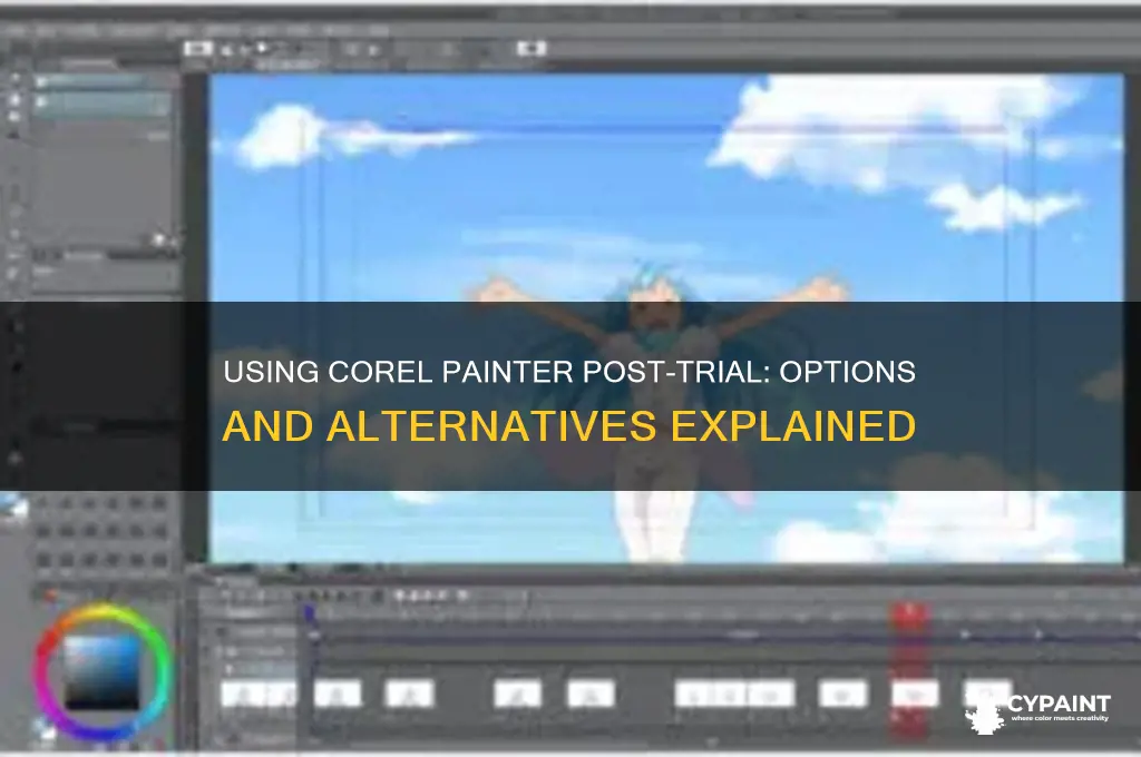 can you still us corel painter after the free trail