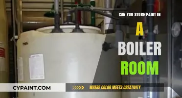 Exploring Paint Storage Options: Is Your Boiler Room Suitable?