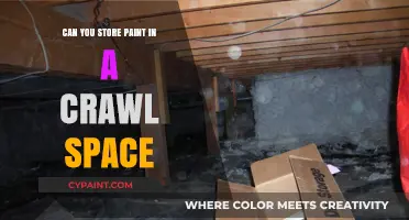 Crawl Space Chronicles: The Do's and Don'ts of Paint Storage
