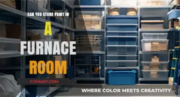 Exploring Paint Storage Options: Furnace Rooms and Beyond