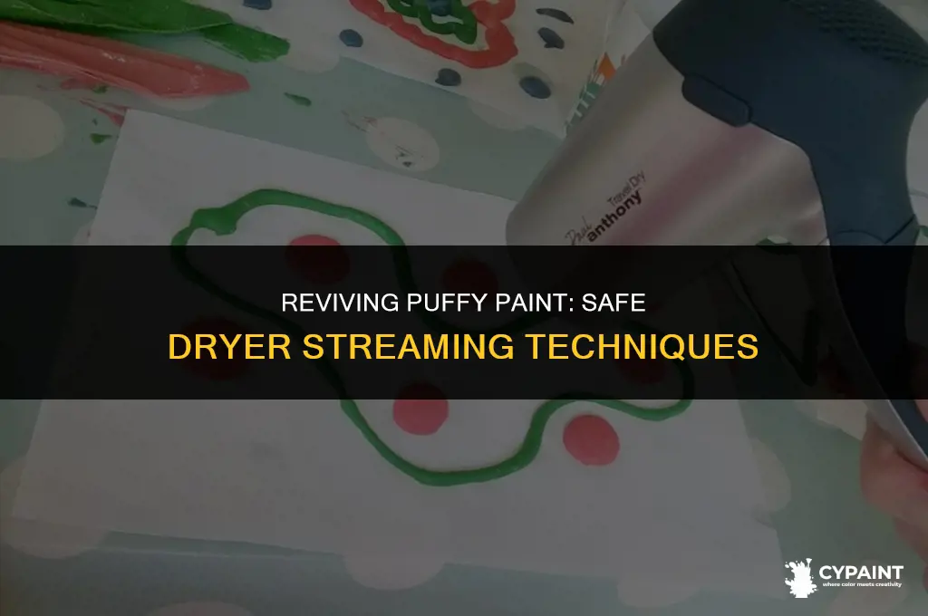 can you stream puffy paint in the dryer