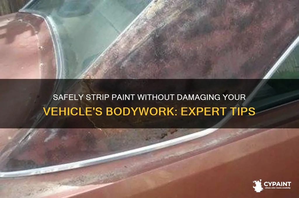 can you strip paint with out damaging the body work