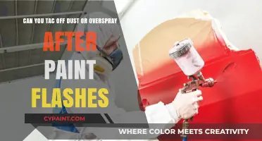 Removing Dust or Overspray After Paint Flashes: Tips and Techniques