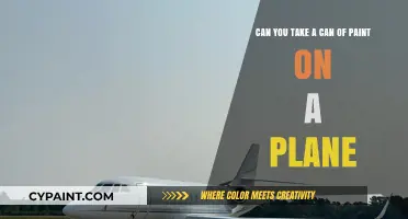 Can You Fly with Paint? Airline Rules for Carrying Cans