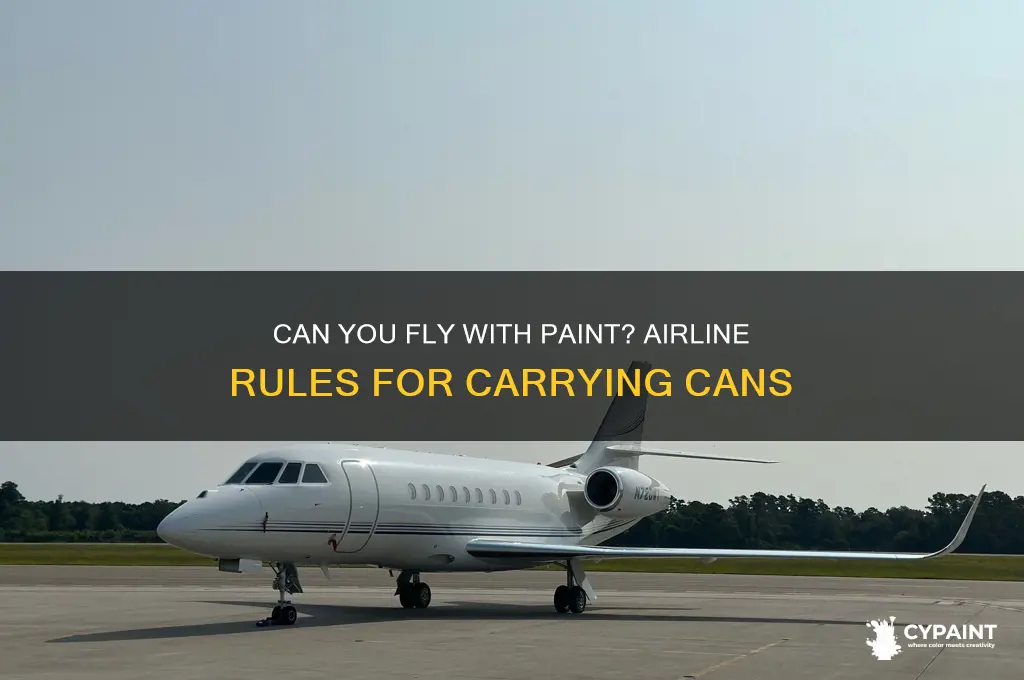 can you take a can of paint on a plane