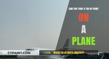 Can You Fly with Paint? Airline Rules for Carrying Tins