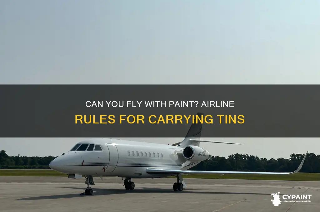 can you take a tin of paint on a plane