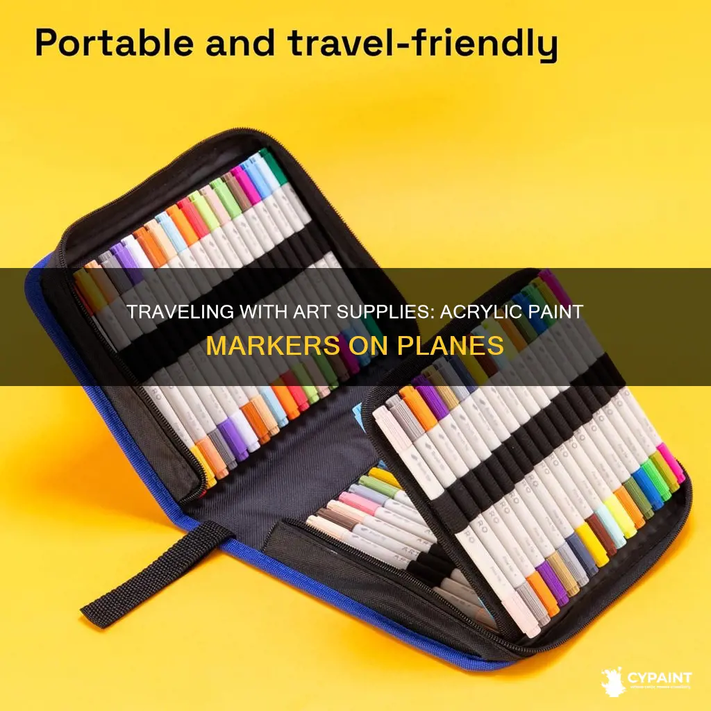 can you take acylic paint markers on a plane