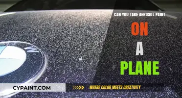 Flying with Aerosol Paint: What You Need to Know