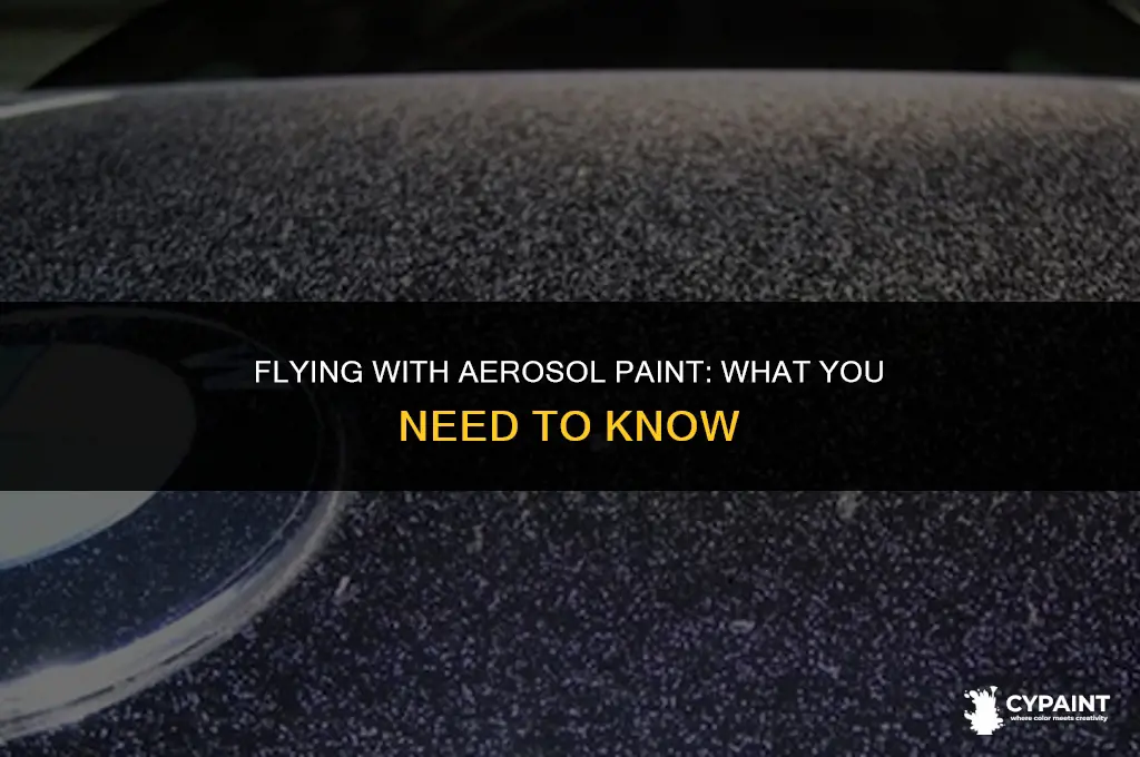 can you take aerosol paint on a plane