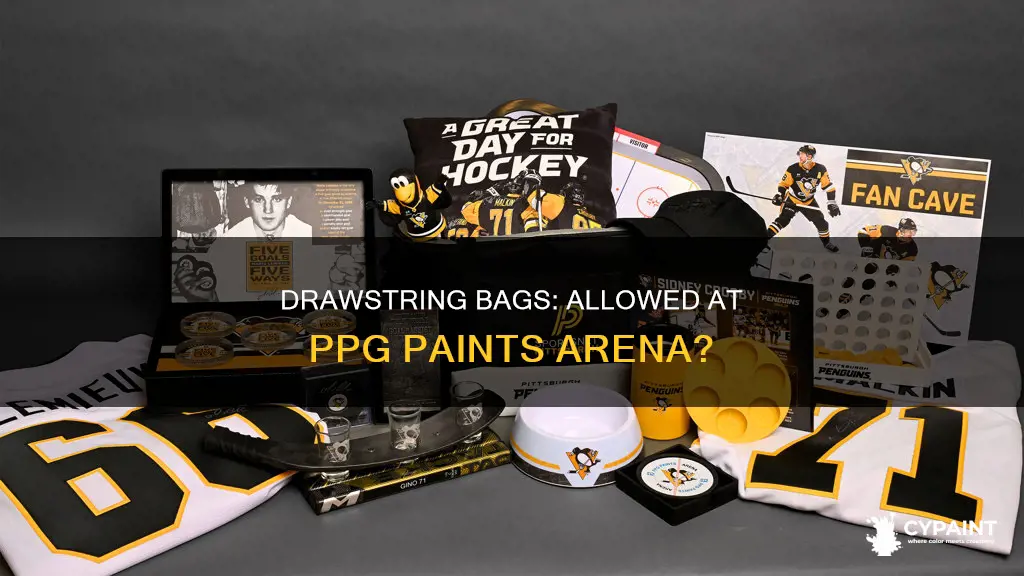 Drawstring Bags: Allowed At Ppg Paints Arena? | CyPaint