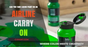 Can You Pack Liquid Paint in Airline Carry-On Luggage?