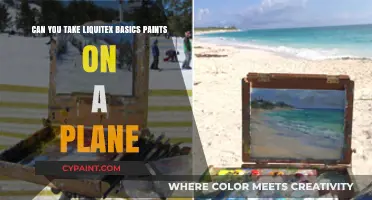 Traveling with Liquitex Basics: Can You Fly with Them?