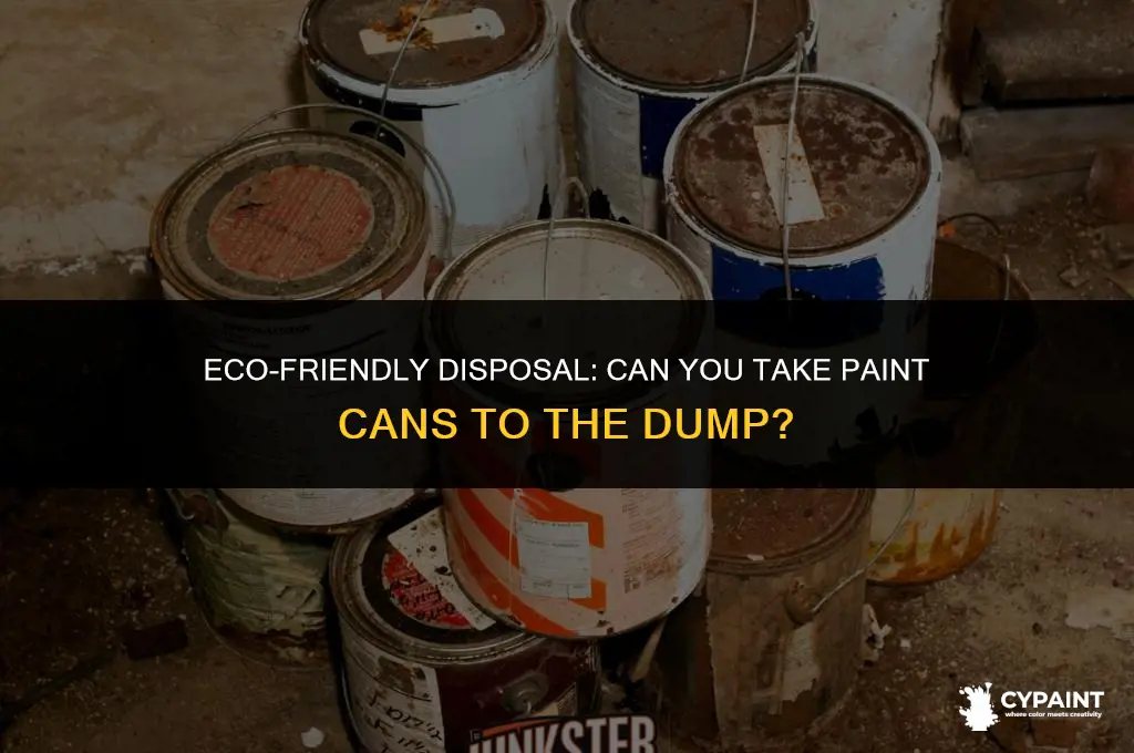can you take paint cans to the dump