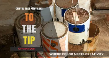 Eco-Friendly Disposal: Can You Take Paint Cans to the Tip?