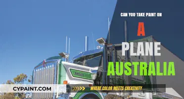 Flying with Art: Navigating Paint Transportation in Australia