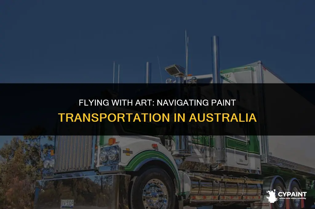 can you take paint on a plane australia