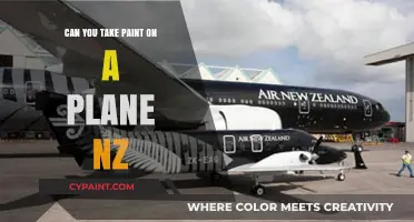 Flying with Art: Navigating Paint Transportation in New Zealand