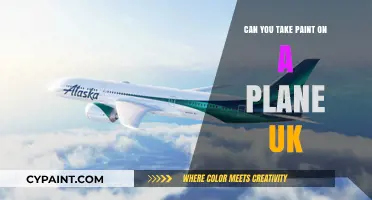 Flying with Creativity: UK Airlines' Policies on Paint Transportation