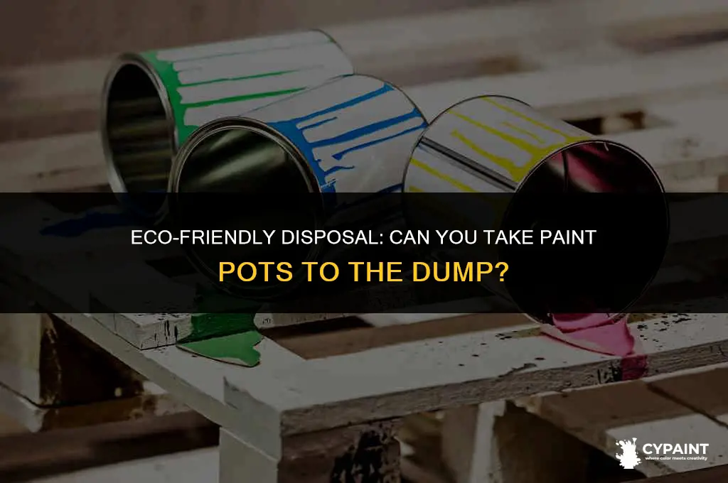 can you take paint pots to the dump