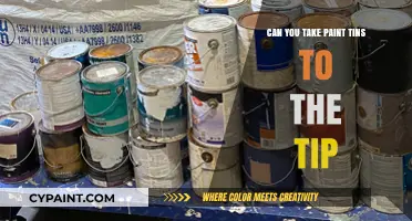 Eco-Friendly Disposal: Can You Take Paint Tins to the Tip?