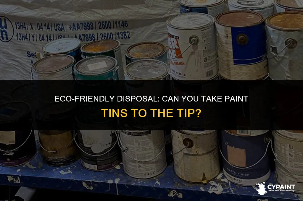 can you take paint tins to the tip