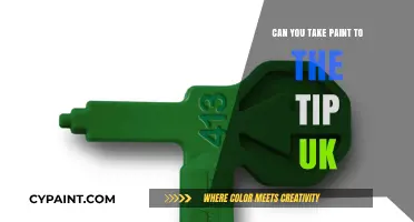 Exploring the Limits: Can You Take Paint to the Tip in the UK?