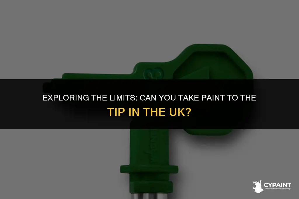 can you take paint to the tip uk