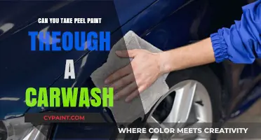 Reviving Your Ride: The Ultimate Guide to Car Wash Paint Care