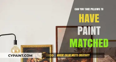 Customizing Comfort: Matching Paint Colors with Your Favorite Pillows