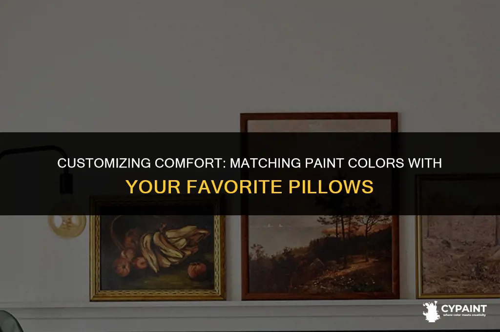 can you take pillows to have paint matched