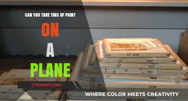 Air Travel and Paint: What's Allowed?