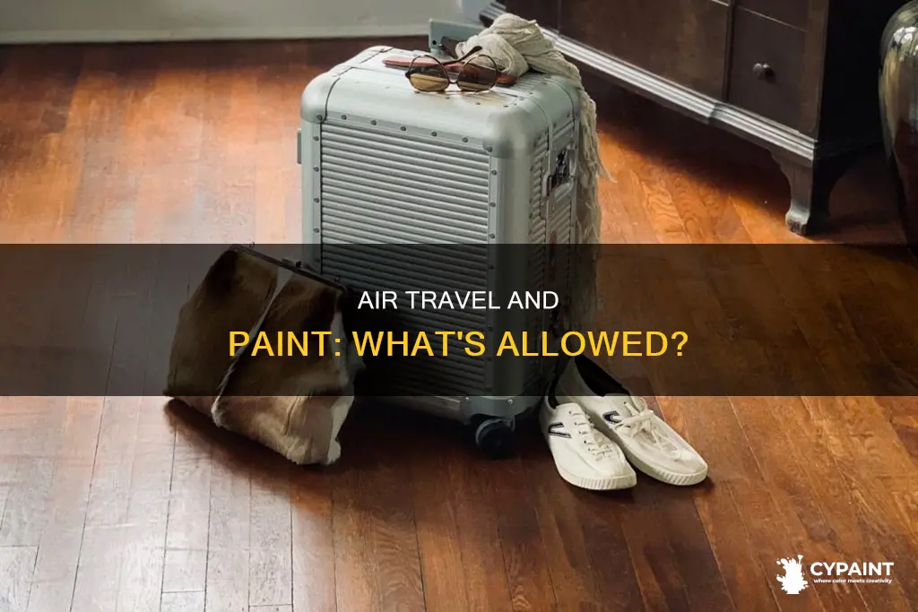 can you take tins of paint on a plane