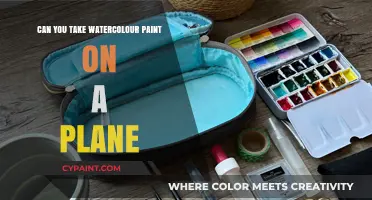 Flying with Watercolors: A Guide to Traveling with Your Artistic Tools