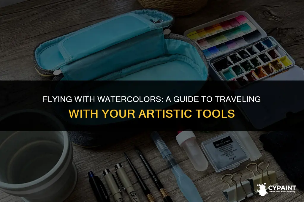 can you take watercolour paint on a plane