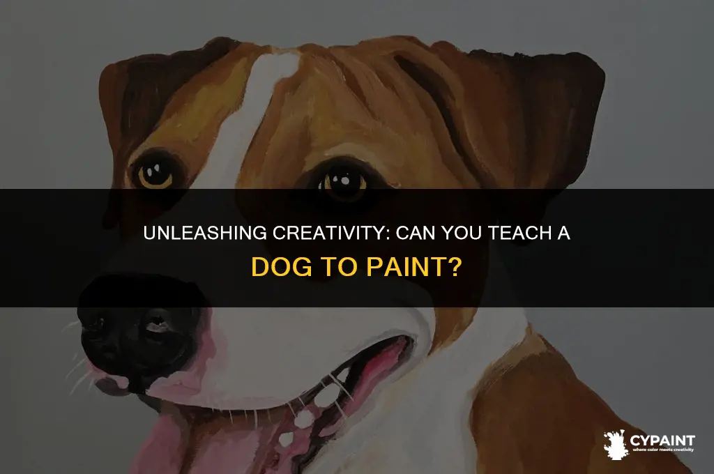 can you teach a dog