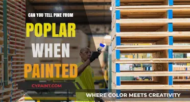 Distinguishing Pine from Poplar: A Painter's Guide to Wood Identification