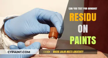 Exploring Gunshot Residue Detection on Various Paint Surfaces