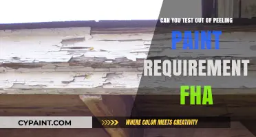 How to Navigate FHA's Peeling Paint Requirements