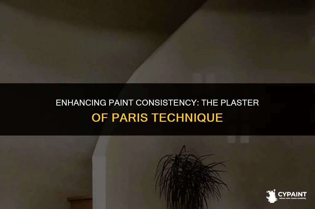 can you thicken paint with plaster of paris