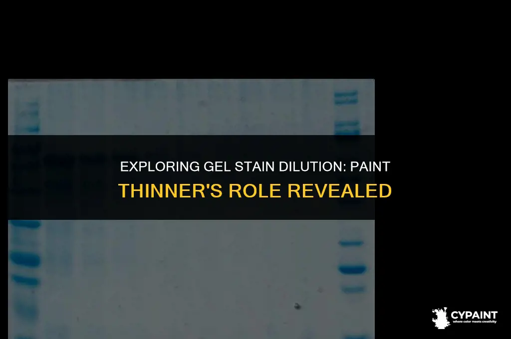 can you thin gel stain with paint thinner