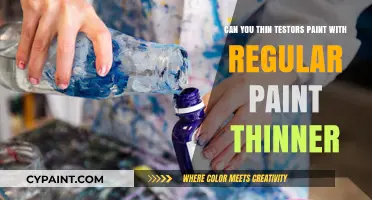 Testors Paint Thinning: Paint Thinner or Regular Paint Thinner?