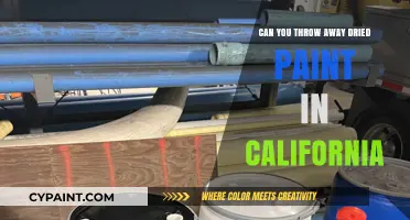 California's Dried Paint Disposal: A Guide for Eco-Friendly Artists