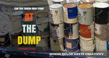 Proper Disposal of Paint: A Guide to Eco-Friendly Practices