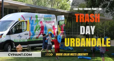 Reviving Urban Spaces: The Art of Paint-Splattered Trash Days in Urbandale