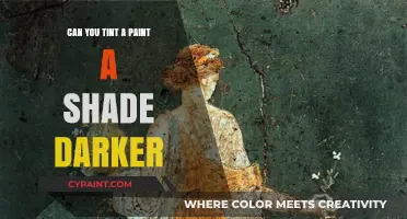 Deepening Hues: The Art of Tinting Paint for a Darker Shade