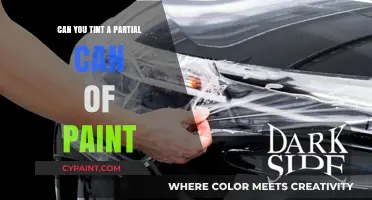 Revamping Your Paint: The Art of Partial Tinting Explained