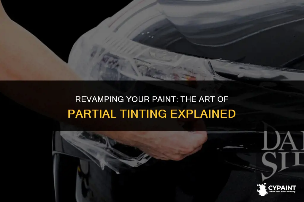 can you tint a partial can of paint